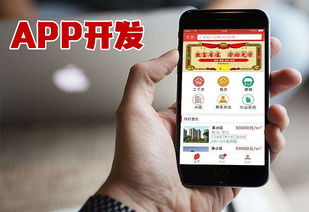 成都跑腿App开发与信息系统构建 本地生活服务数字化新机遇